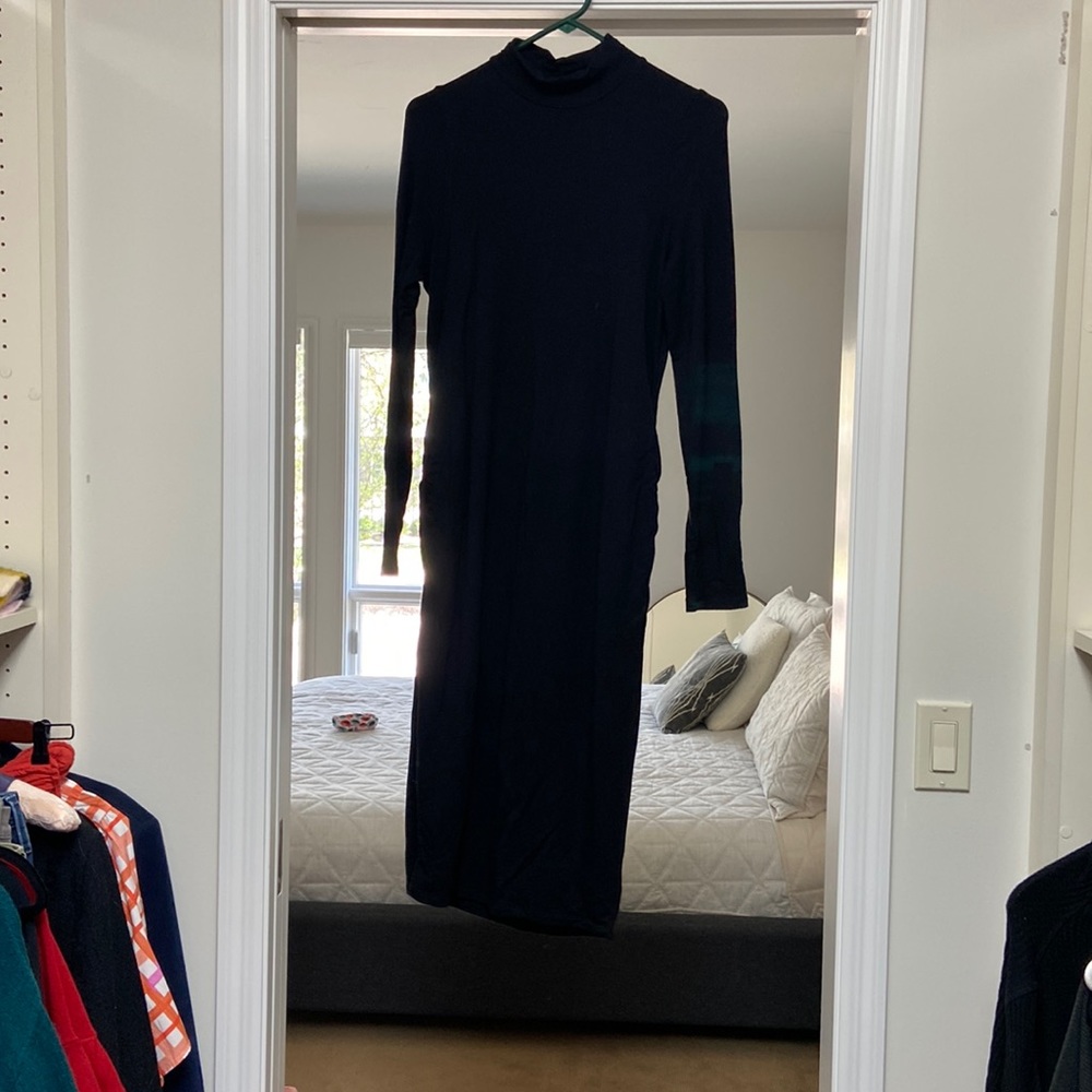 Pea in the Pod Mockneck dress